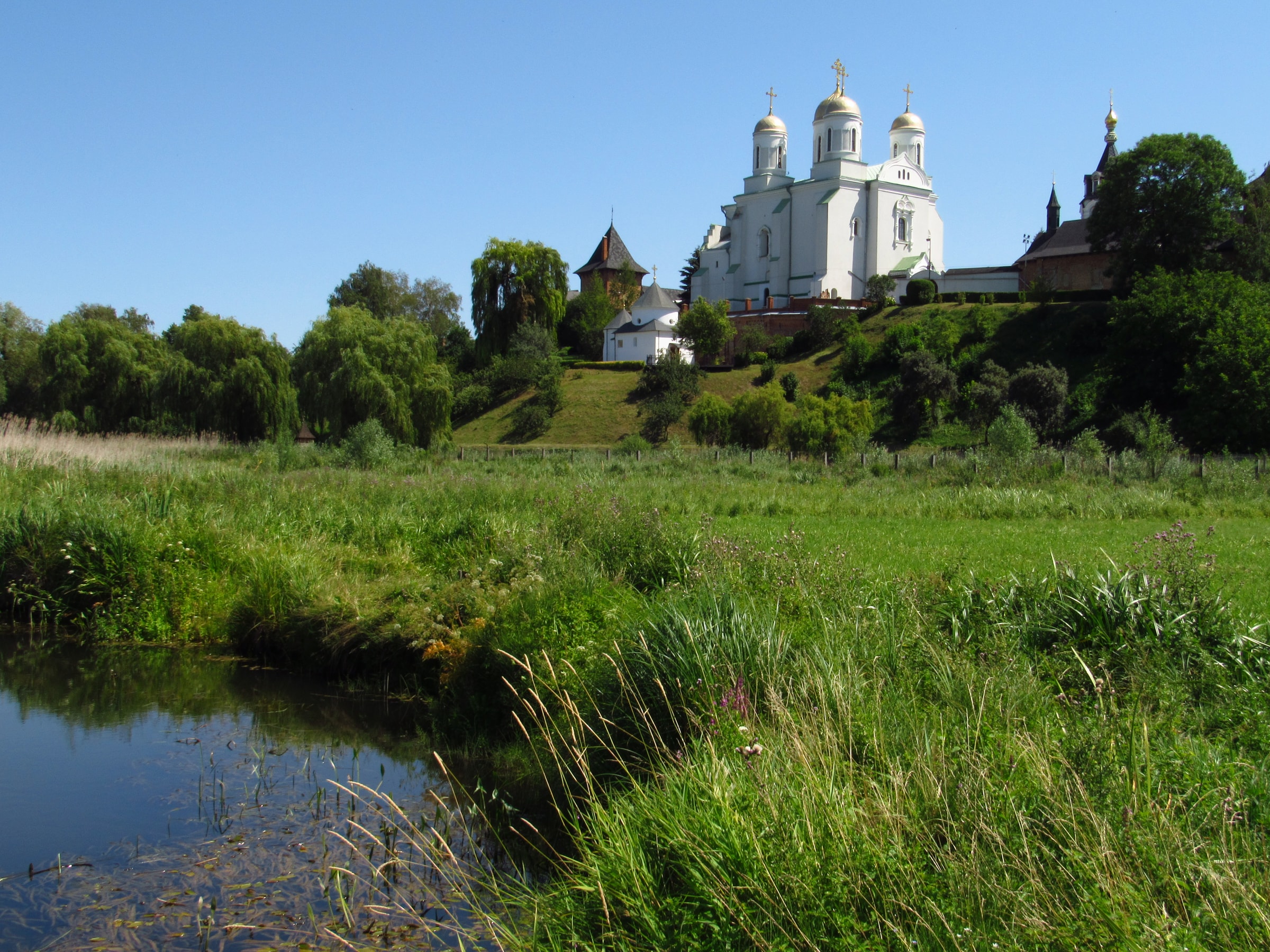 Zymne Monastery — white walls and golden domes above a sunlit Ukrainian meadow